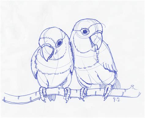 Bird Drawing Simple at GetDrawings | Free download