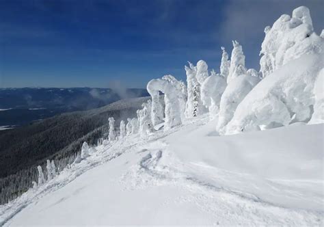 Ski Whitefish Mountain Resort | Whitefish Montana Ski Resort Ratings