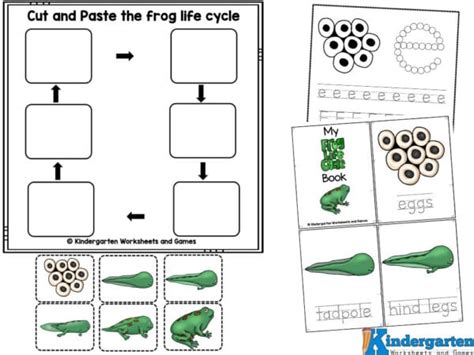 🐸 FREE Printable Frog Life Cycle Worksheets