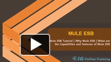 PPT – Mule ESB Tutorial | Mulesoft ESB | Mule ESB Certification ...