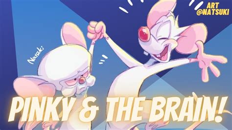 Pinky And The Brain Theme Song | Vocal Cover【Treb】 - YouTube