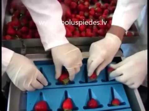 Strawberry cutting machine - YouTube