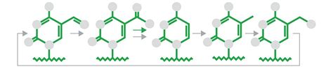 DNA methylation and demethylation | Abcam