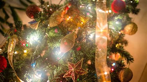 The Pagan Origin of the Christmas Tree: A Clear Understanding for All - Wicca How