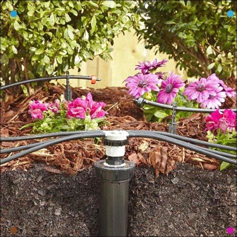 A Drip Irrigation System Lets You Make The Most Of Your Water To Maintain The Plants Around ...