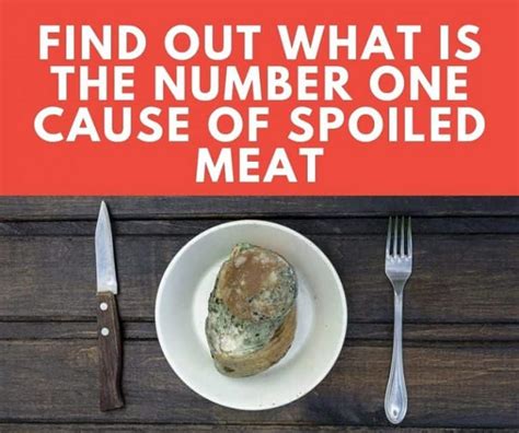 What Is the Number One Cause of Spoiled Meat? - Simply Healthy Family