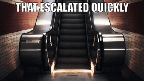 Well That Escalated Quickly Meme Escalator