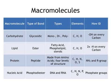 Differentiating Macromolecules - YouTube