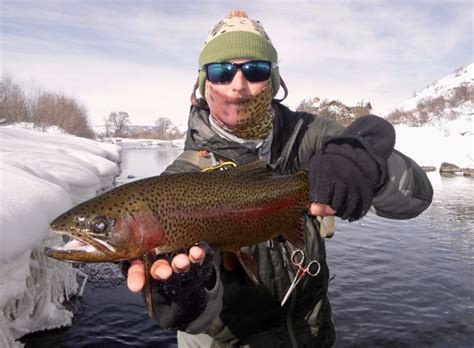Winter on the Yampa River. - Fly fishing Photos | Fly dreamers