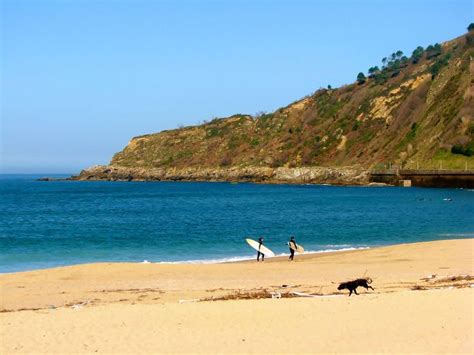 Surfers Walking Along Zurriola Beach in San Sebastian | San sebastian ...