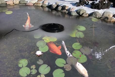 How To Choose The Right Pond Heater For Your Koi Pond - Winterize Guide