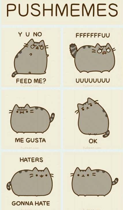 pusheen memes | Pusheen cat, Pusheen cute, Pusheen