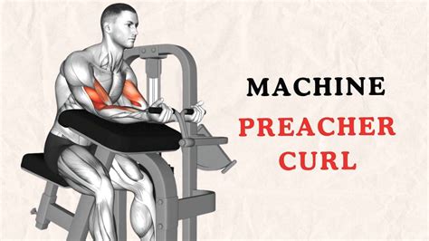 Machine Preacher Curl: How To Do and Muscles Worked