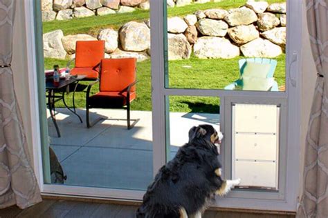 Sliding Glass Door With Dog Built In Utah - Glass Designs