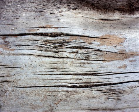 Driftwood Texture 8 by KariLouMc on DeviantArt