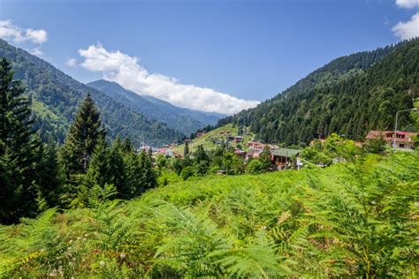 Landscape View of Ayder Plateau in Rize,Turkey Stock Image - Image of beautiful, forest: 136068595