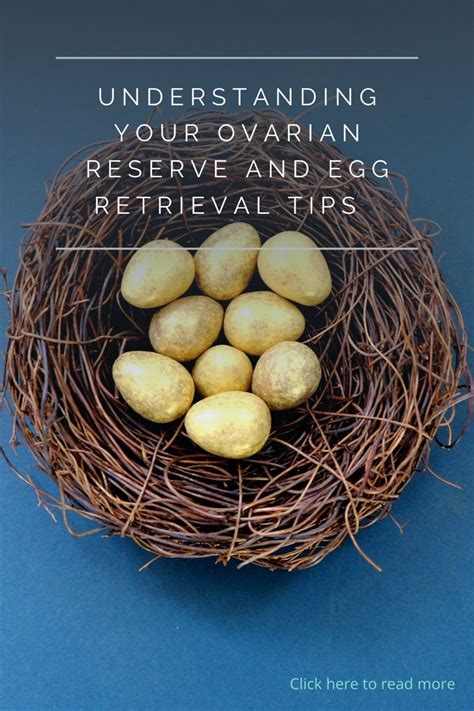 Understanding Your Ovarian Reserve & The Egg Retrieval Process, with ORM Fertility. #fertility # ...