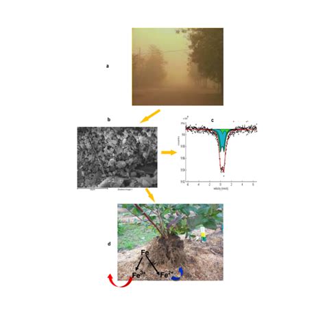 Figure shows: (a) Harmattan haze (b) SEM micrograph of Harmattan dust ...