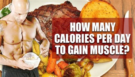 How Many Calories To Gain Muscle Per Day?