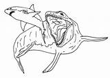 Mosasaurus Water Dinosaur Coloring Pages & Book For Kids sketch template