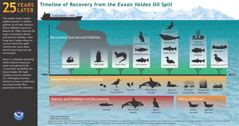 25 Years Later: Timeline of Recovery from Exxon Valdez Oil Spill ...