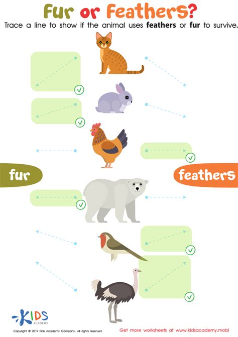 Fur or Feathers? Worksheet for kids - Answers and Completion Rate