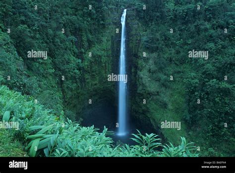 Akaka Falls, Hawaii Stock Photo - Alamy