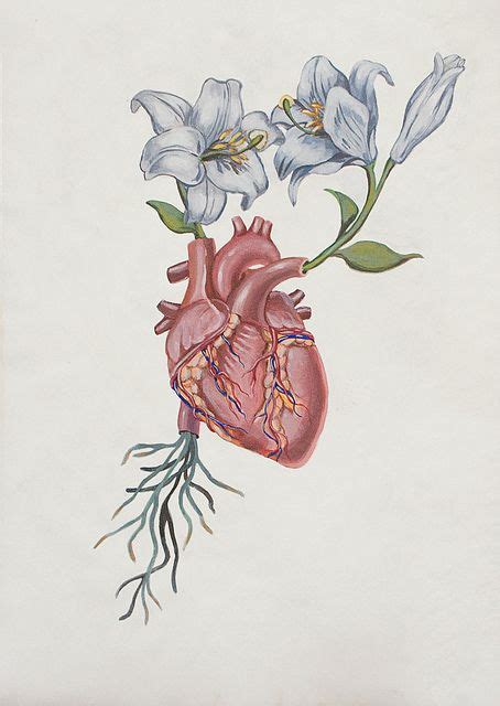 anatomical heart and flowers. I found this drawing on pinterest months ago and I got i… (con ...