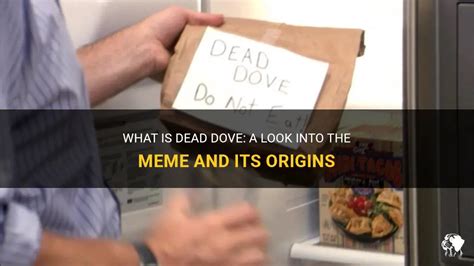 What Is Dead Dove: A Look Into The Meme And Its Origins | PetShun