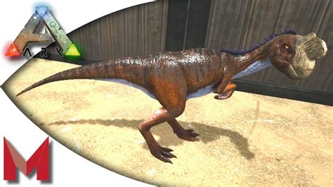 Ark survival evolved compy taming food