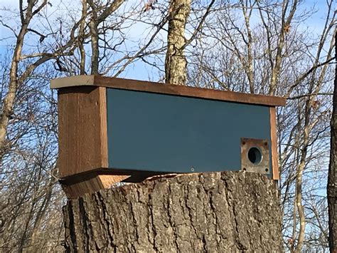 How to Build a Winter Roosting Box: DIY Barn Wood Project for the Birds ...