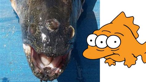 The Simpsons Called It: Three Eyed Fish Caught Outside a Nuclear Power Plant