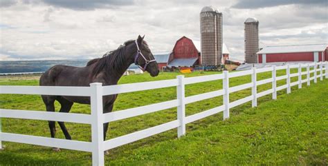 Three Ways to Maximize Productivity with a Millcreek Manure Spreader - Millcreek Spreaders