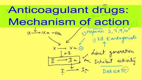 Anticoagulant drugs (mechanism of action) and therapy |Oral anticoagulants|Physiology ...