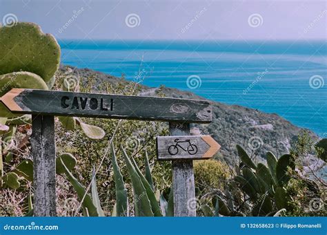 Hiking Trail in Cavoli, Elba Island, Tuscany Stock Image - Image of island, mediterranean: 132658623