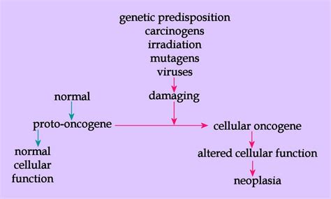 Cancer: oncogenes