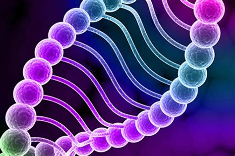 Comprehensive Chromosomal Screening – TSRM In Vitro Fertilisation Treatments