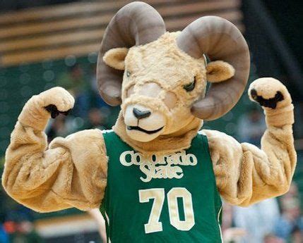 colorado state football mascot - Google Search | Football, Cheerleading ...