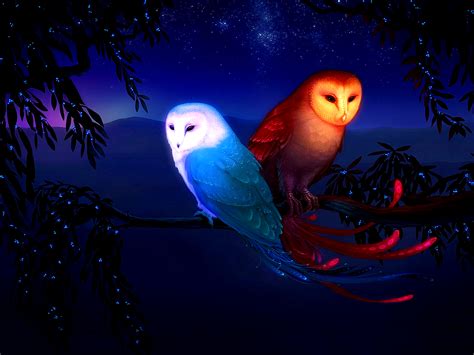 Cool Owl Wallpapers - WallpaperSafari