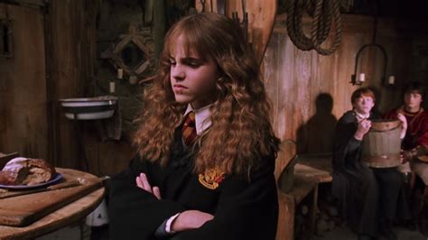 Harry Potter Chamber Of Secrets Hermione