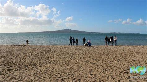 Mission Bay Beach in Auckland