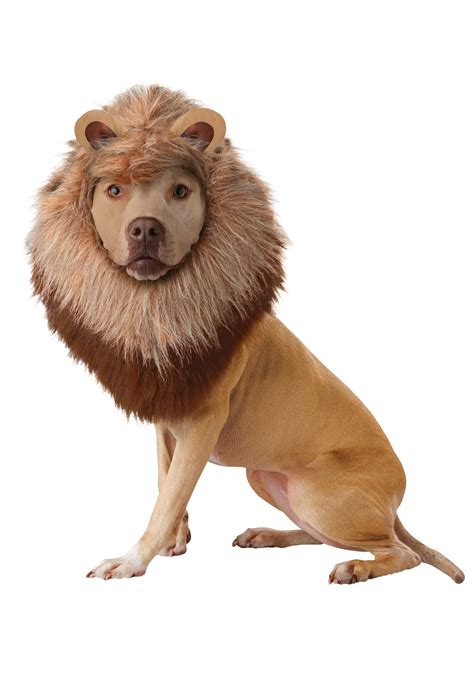 Lion's Mane Pet Costume