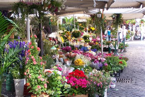 Campo dei Fiori Market: The "Field of Flowers" - Rome Travel Guide ...