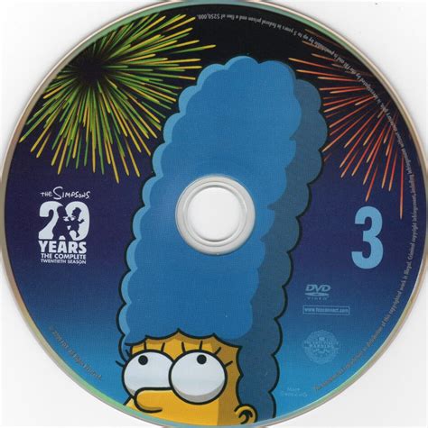 The Simpsons: Season 20 - TV Series - CD Labels, DVD Covers, Front Cover