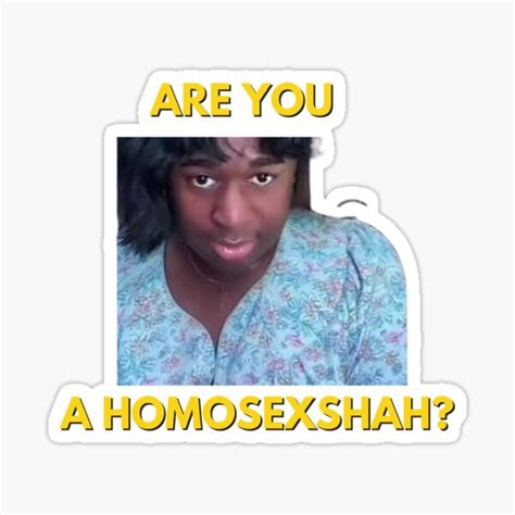 "Psyiconic terri joe t shirt | are you a homosexshah terri joe meme Tee " Sticker for Sale by ...