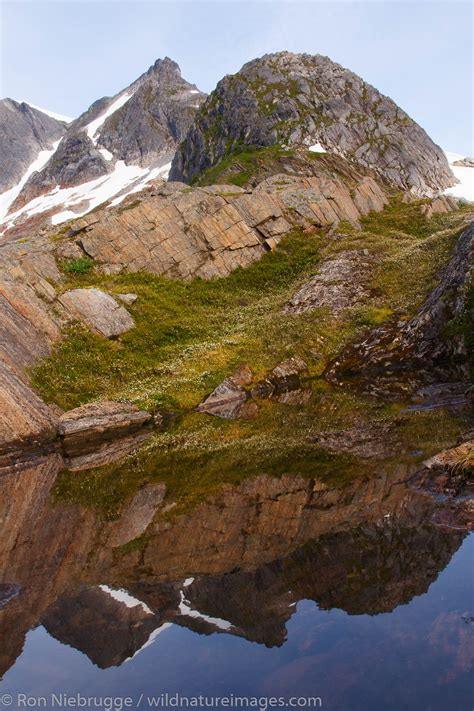 Tongass National Forest | Photos by Ron Niebrugge