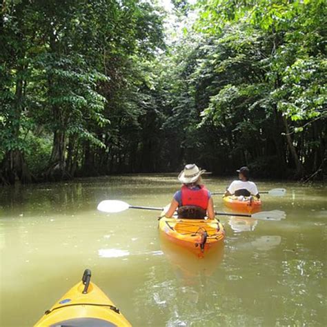 Coastal & River Kayaking | Windjammer Landing