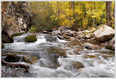 Big Cottonwood Canyon Fall Colors Photograph by Ron Brown Photography ...