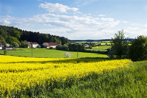 Spring in Germany