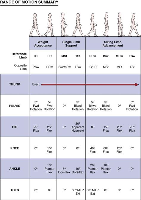 Rancho Gait Pattern